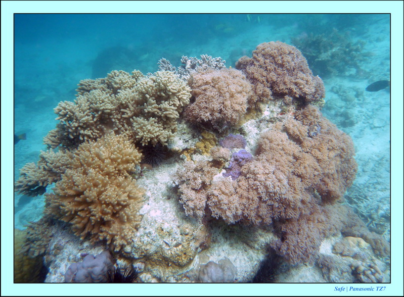 2009    07    Manatabuan 03